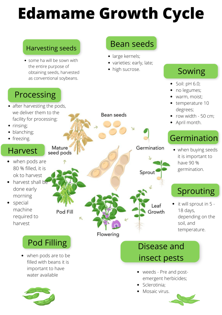 Edamame Growth Cycle
